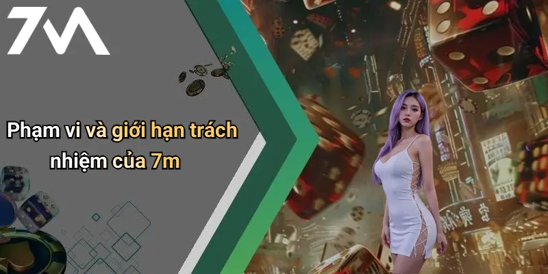 Phạm vi và giới hạn trách nhiệm của 7m